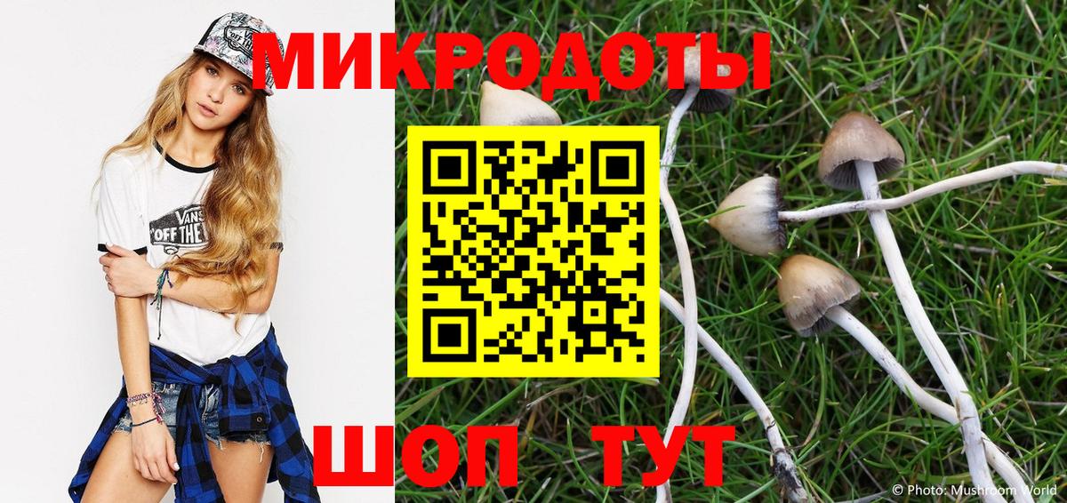 Псилоцибиновые грибы Magic Shrooms  Хабаровск  Галлюциногенные грибы мухоморы 