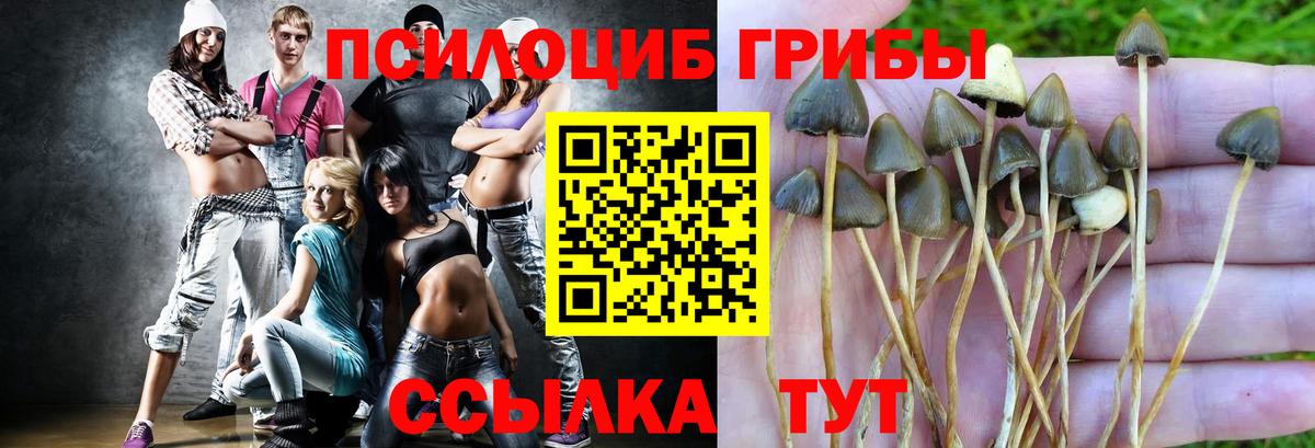 Галлюциногенные грибы прущие грибы  Вход с VPN  Хабаровск  Псилоцибиновые грибы мицелий 