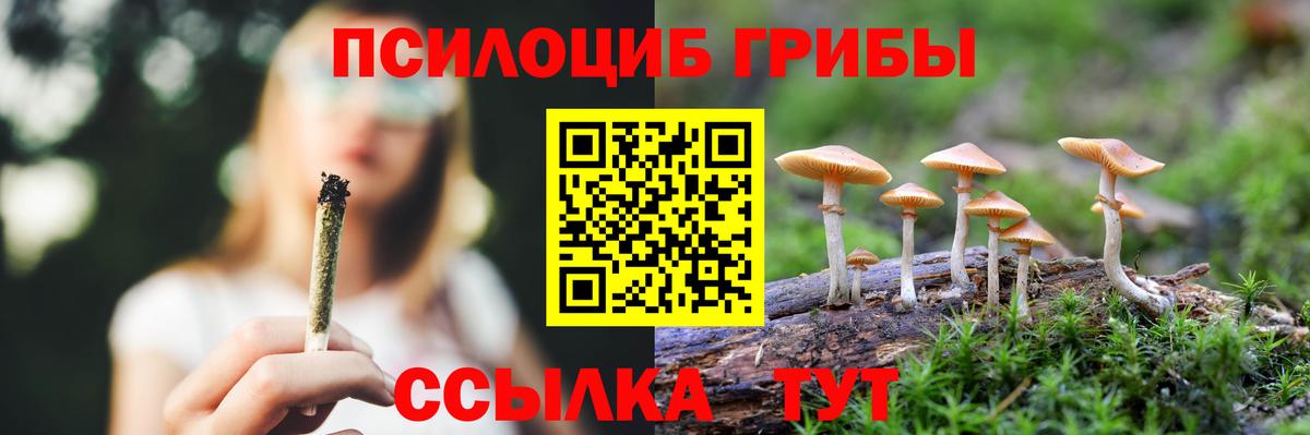 Галлюциногенные грибы MAGIC MUSHROOMS Хабаровск